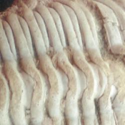 cfd0fe4b-e5a9-4d18-9b0f-329e3cab1277