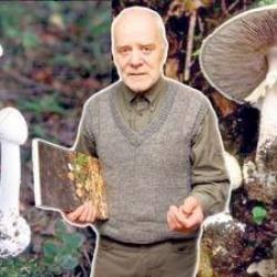 27072740_1772376776391272_567501982488077786_n