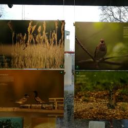 IMG_20180105_113149_resized_20180105_113944054