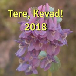 tere kevad