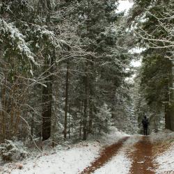 34052837141_8068d428e3_o