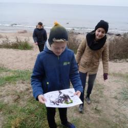 lillekula_gumnaasiumi_noored_laanemere_programmis._merebingo._lahemaa_looduskool_2017_003