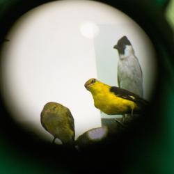 Looduseuurijad_Foto Elen Kontkar-min