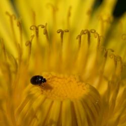 Rahinge_Foto Veljo Runnel