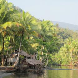 Paapua_Foto Leho Tedersoo