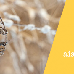 Talvine aialinnuvaatlus 2020