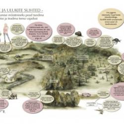 inimeste ja ulukite suhted