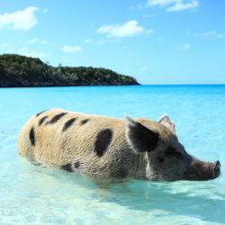 c6b4314d3273204b4d95a46164bdc402