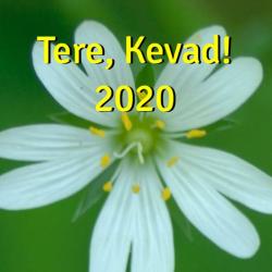 tere kevad 2020